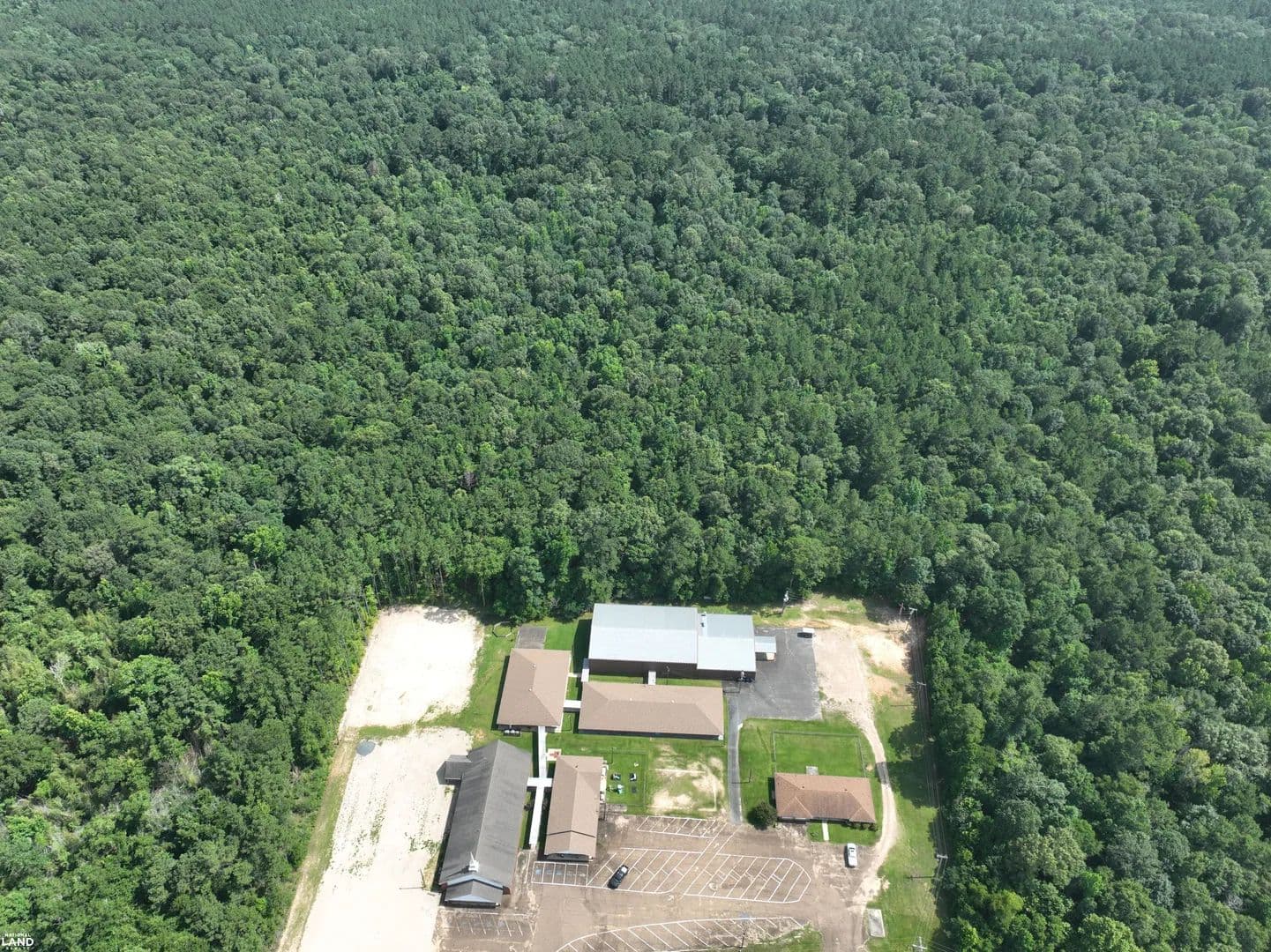 Cooper Church Road- Hunting - Rural Homesite - Timber Investment - Leesville, Louisiana, 71446