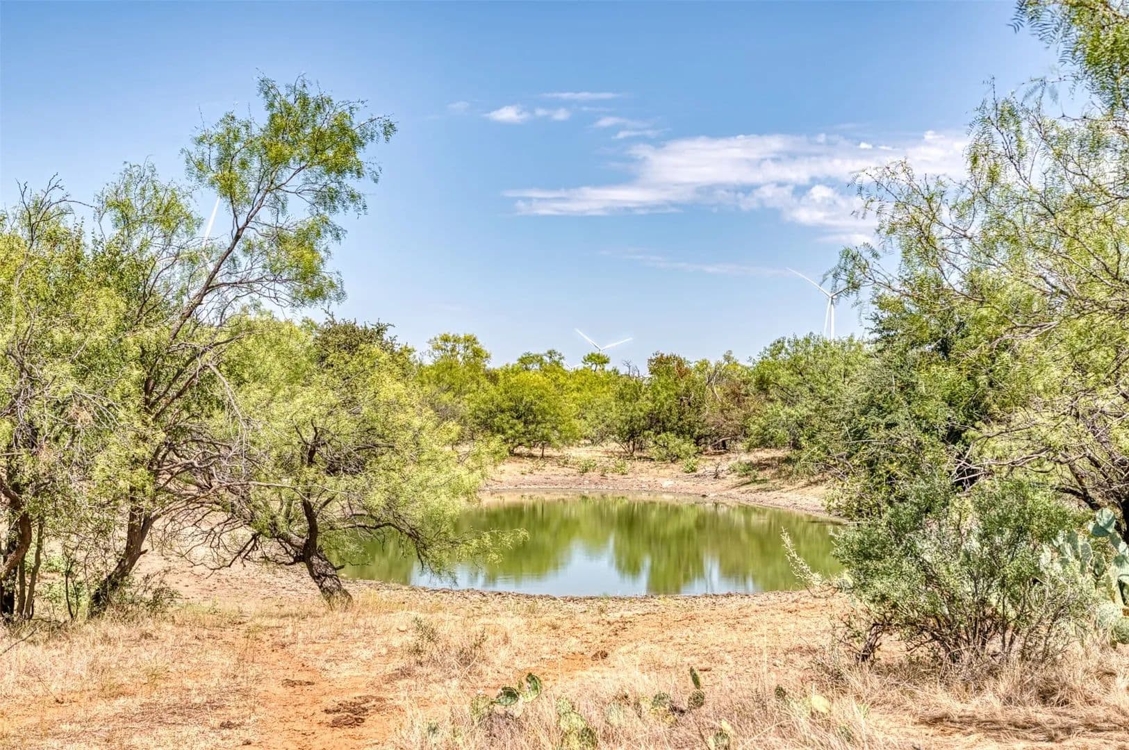 158 Acres of Land for Sale in Moran, TX - Moran, Texas, 76464