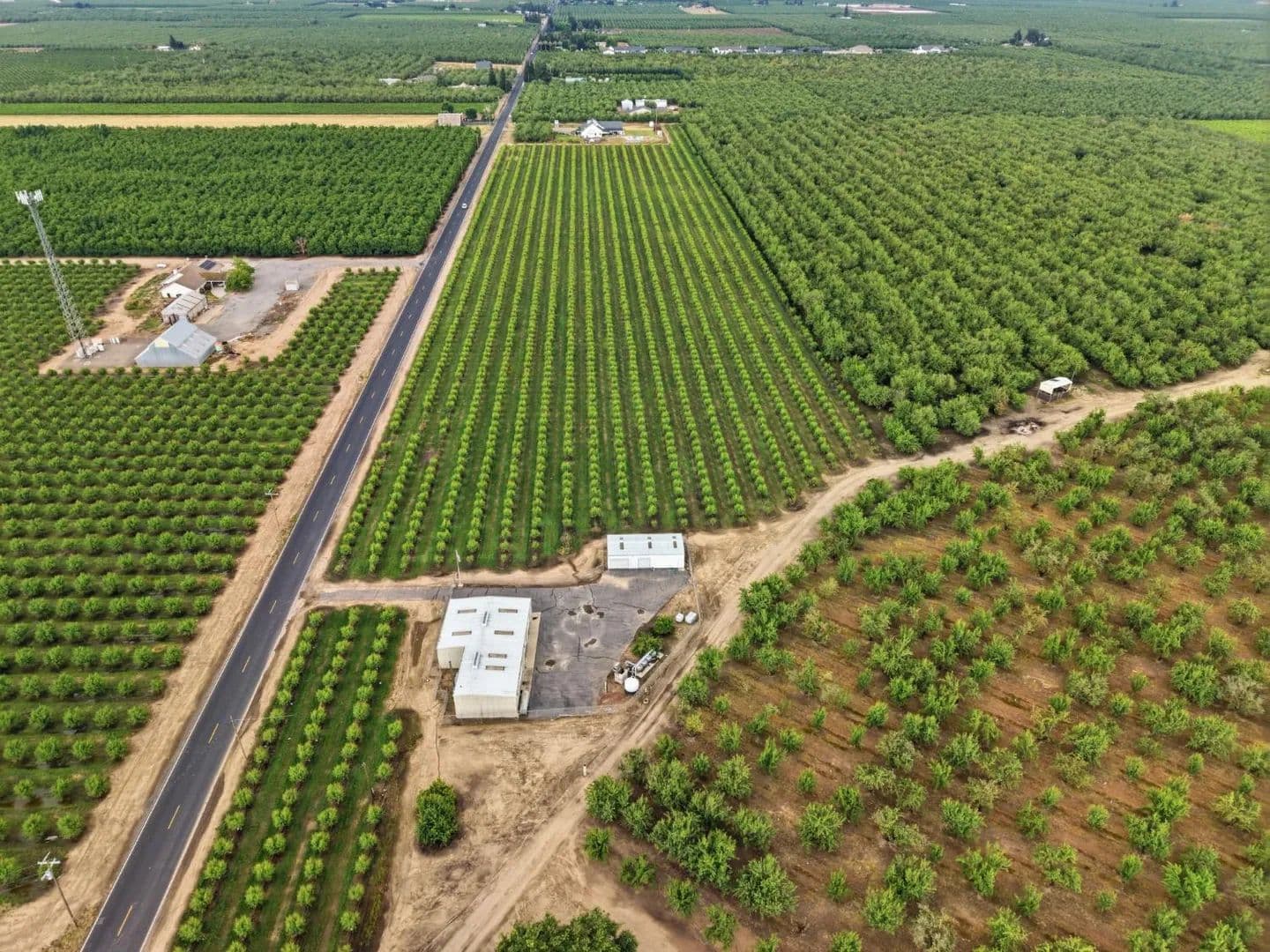 49.13 Acres of Land for Sale in Ripon, California - Ripon, California, 95366