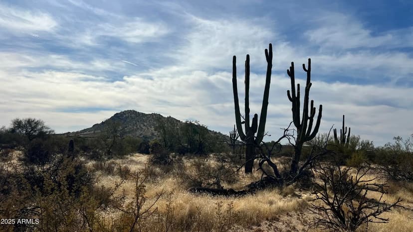 Vacant Land in Scottsdale