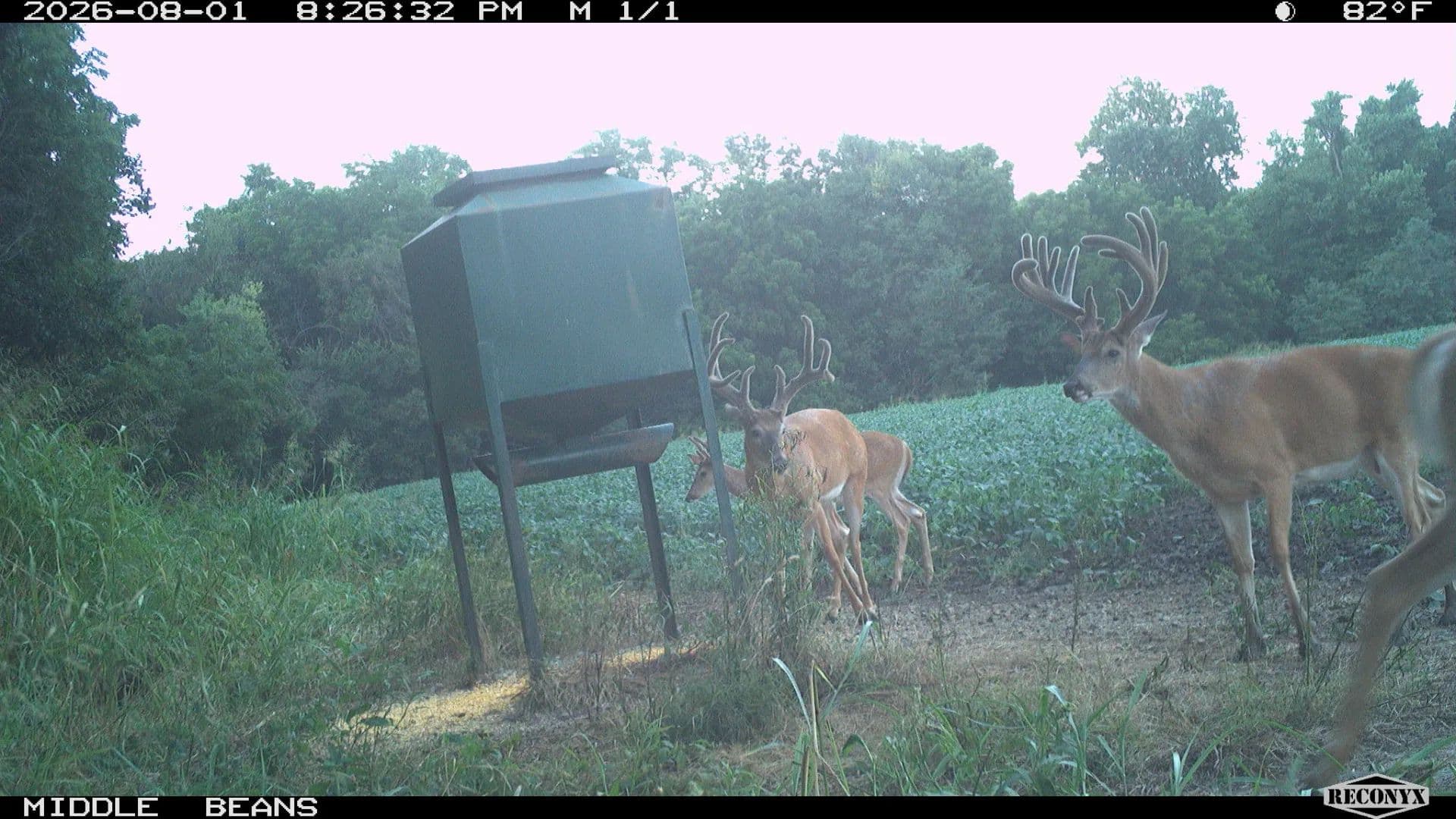 Middle Creek Farm - Kansas, 66040