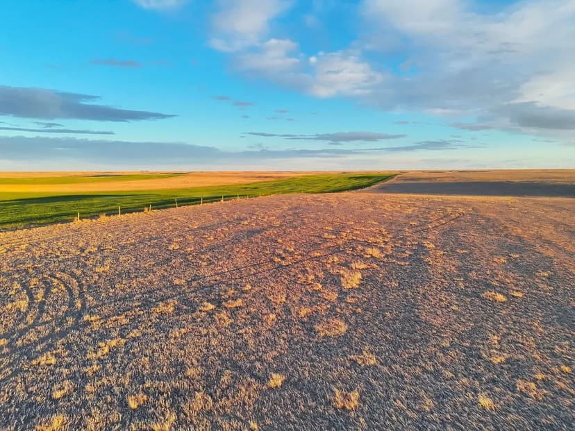 Large Quarter of Expired CRP with Good Soils