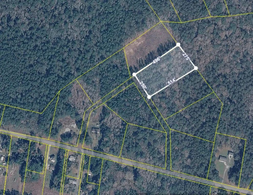 Lots & Land-Other in Ravenel - Ravenel, South Carolina, 29470