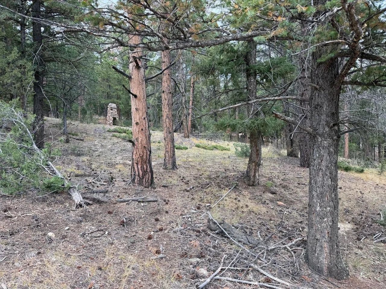 Vacant Land in Pine - Pine, Colorado, 80470