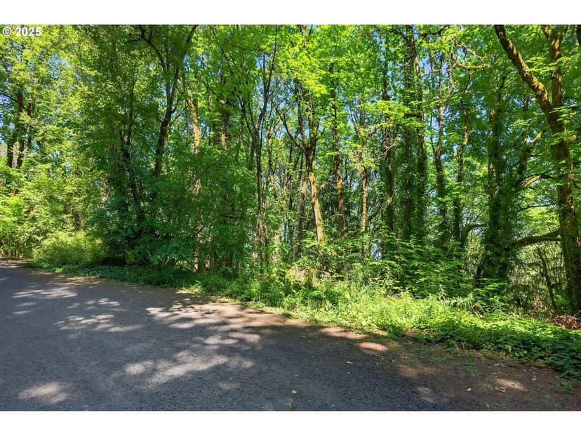 Vacant Land in Portland