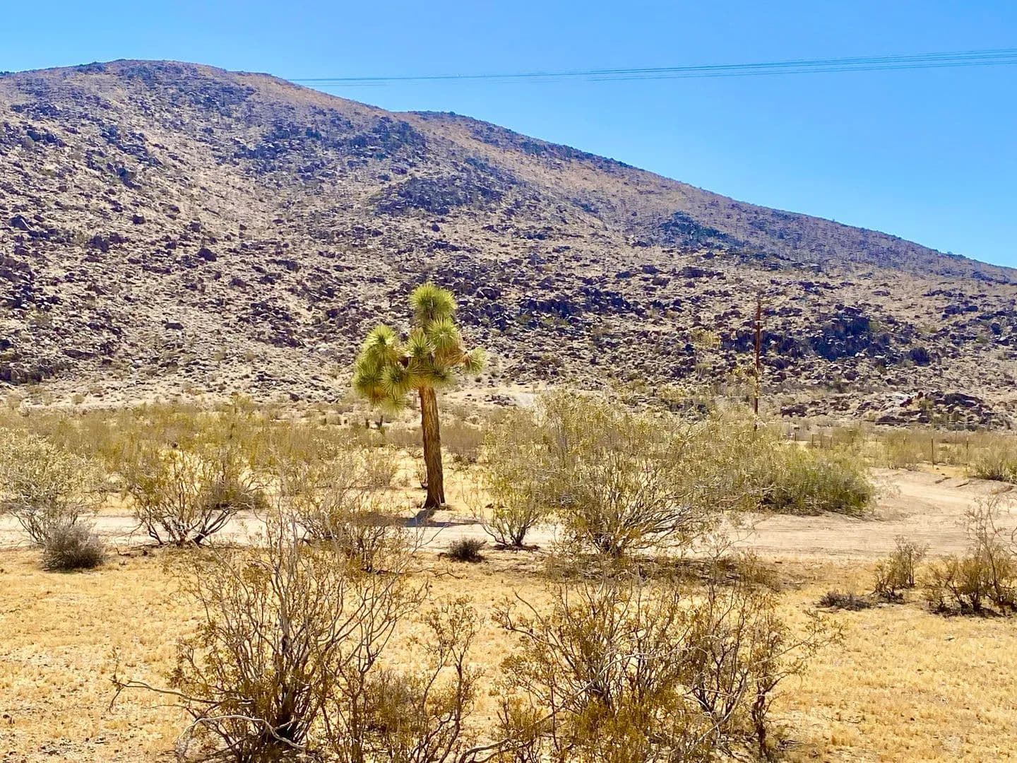2.26 Acres of Land for Sale in Joshua Tree, CA - Joshua Tree, California, 92252
