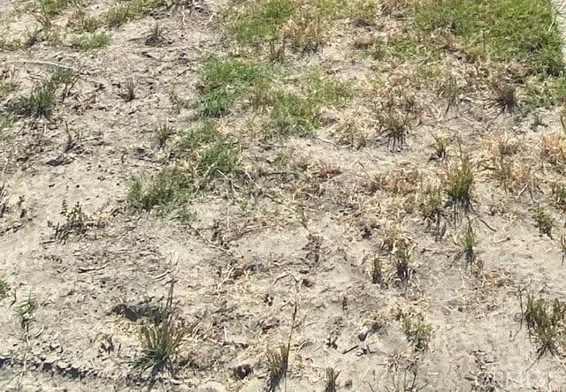 Vacant Land in Ridgecrest - Ridgecrest, California, 93555