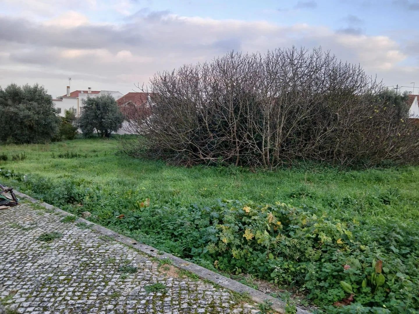 683 Acres of Land for Sale in Marmeleira e Assentiz, Rio Maior - land for sale