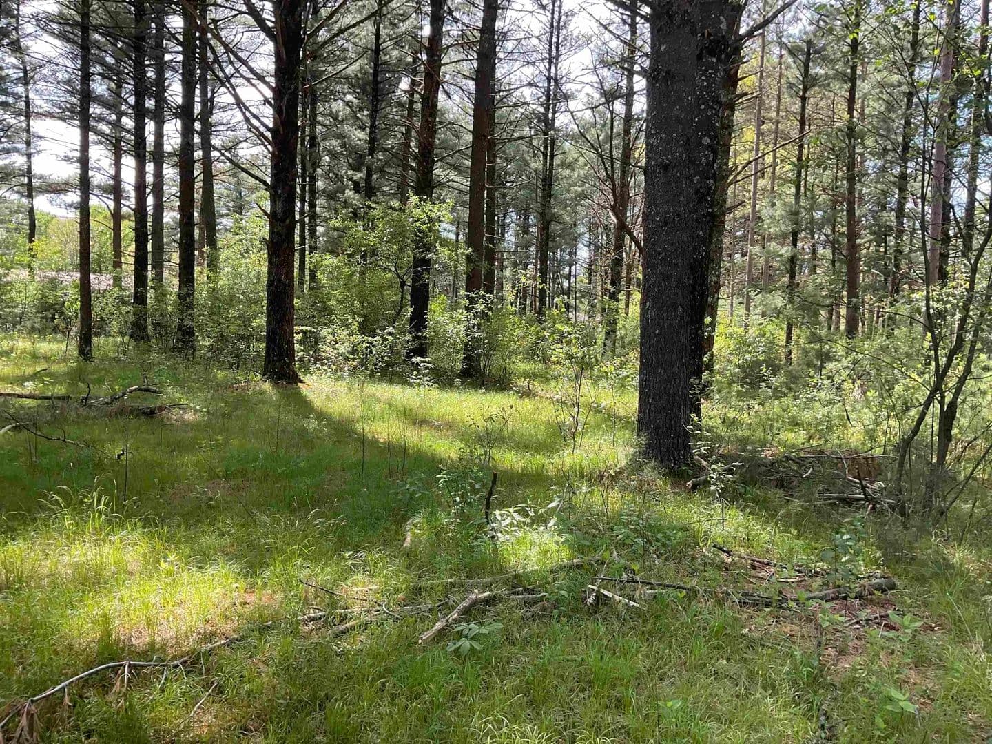 0.95 Acres of Land for Sale in Wisconsin Rapids, Wisconsin - Wisconsin Rapids, Wisconsin, 54494