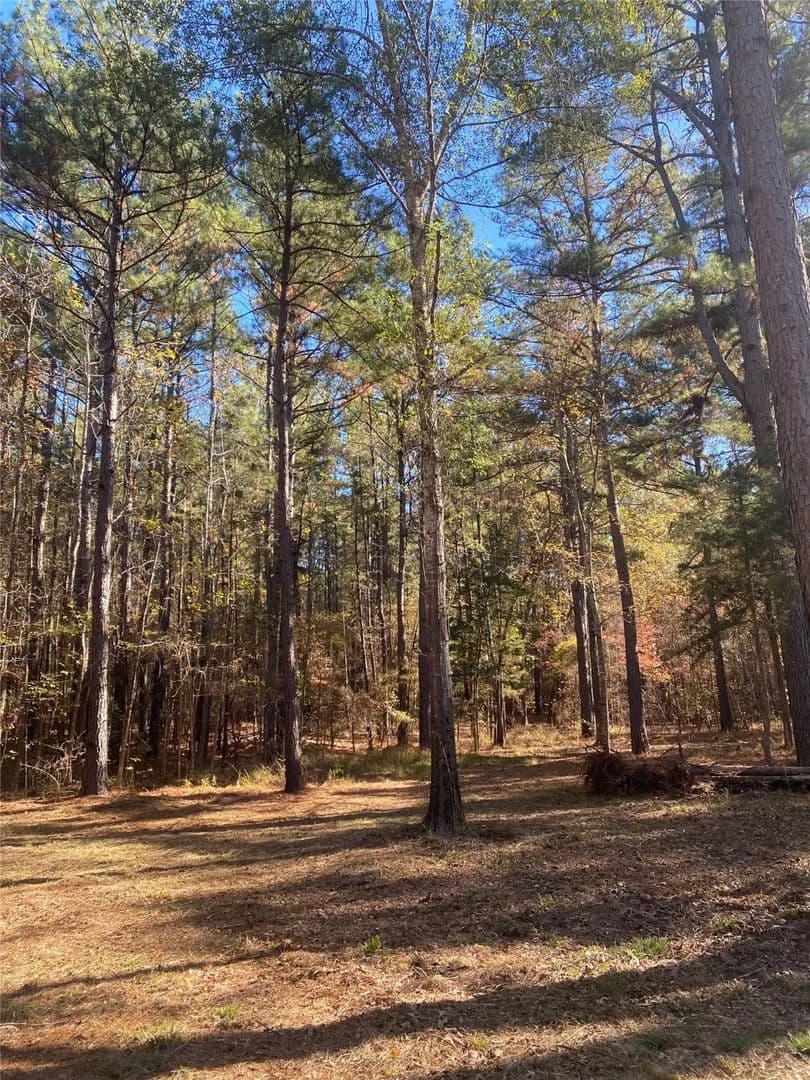 Property from 44.2 Acres State Hwy 64 - KW