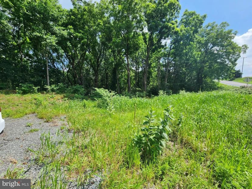 Vacant Land in Sinking Spring