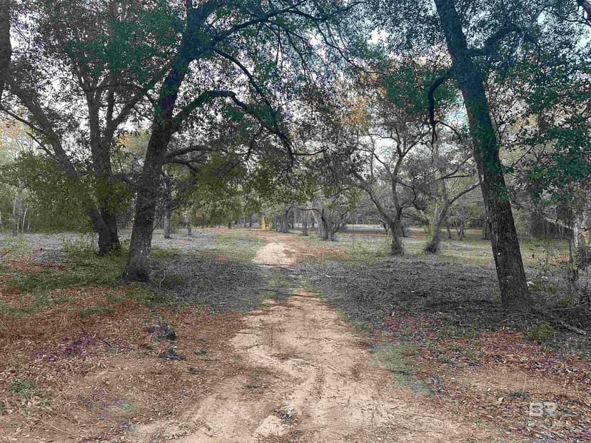 Lots & Land-Other in Lillian