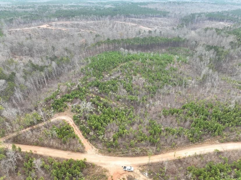 41 +/- Acre Coosa County Hunting Tract