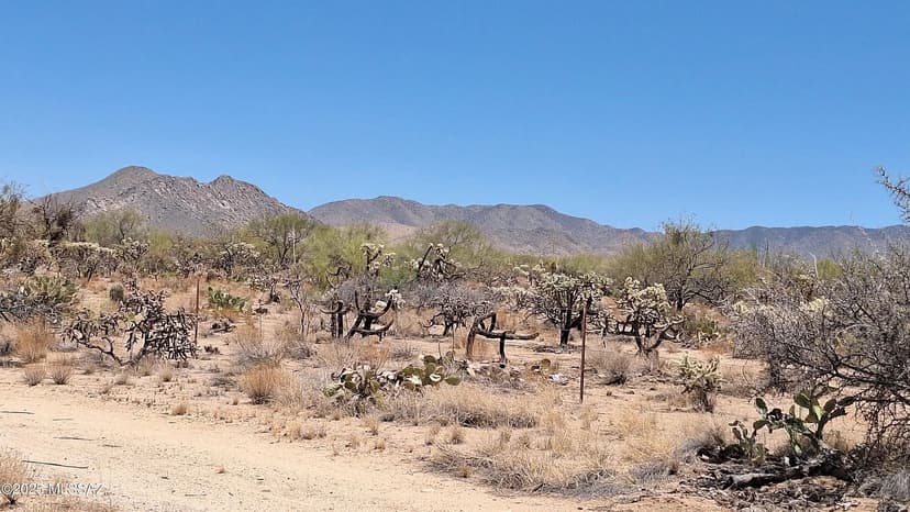 Vacant Land in Tucson