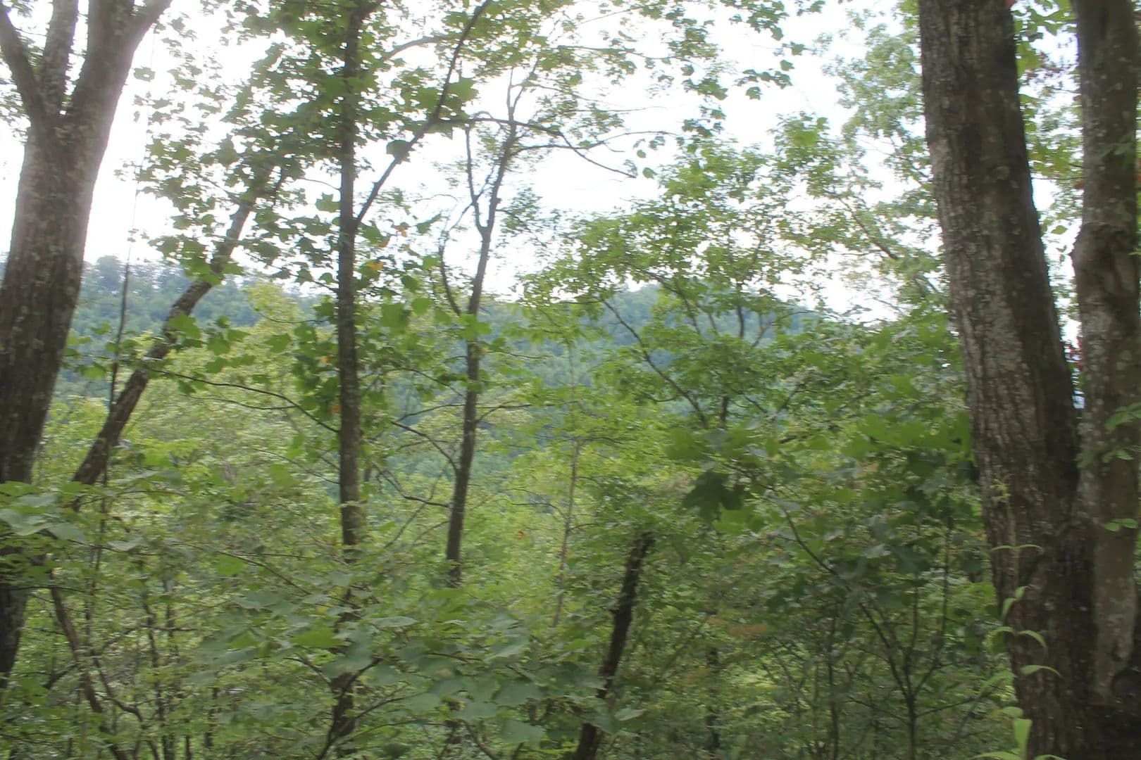 1016.06 Acres of Land for Sale in Huntsville, TN - Huntsville, Tennessee, 37756