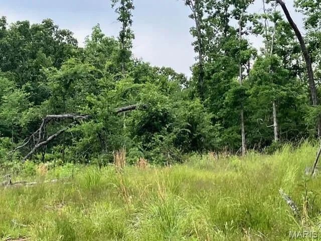 Property from 234 Madison CR 410 - KW - Fredericktown, Missouri, 63645