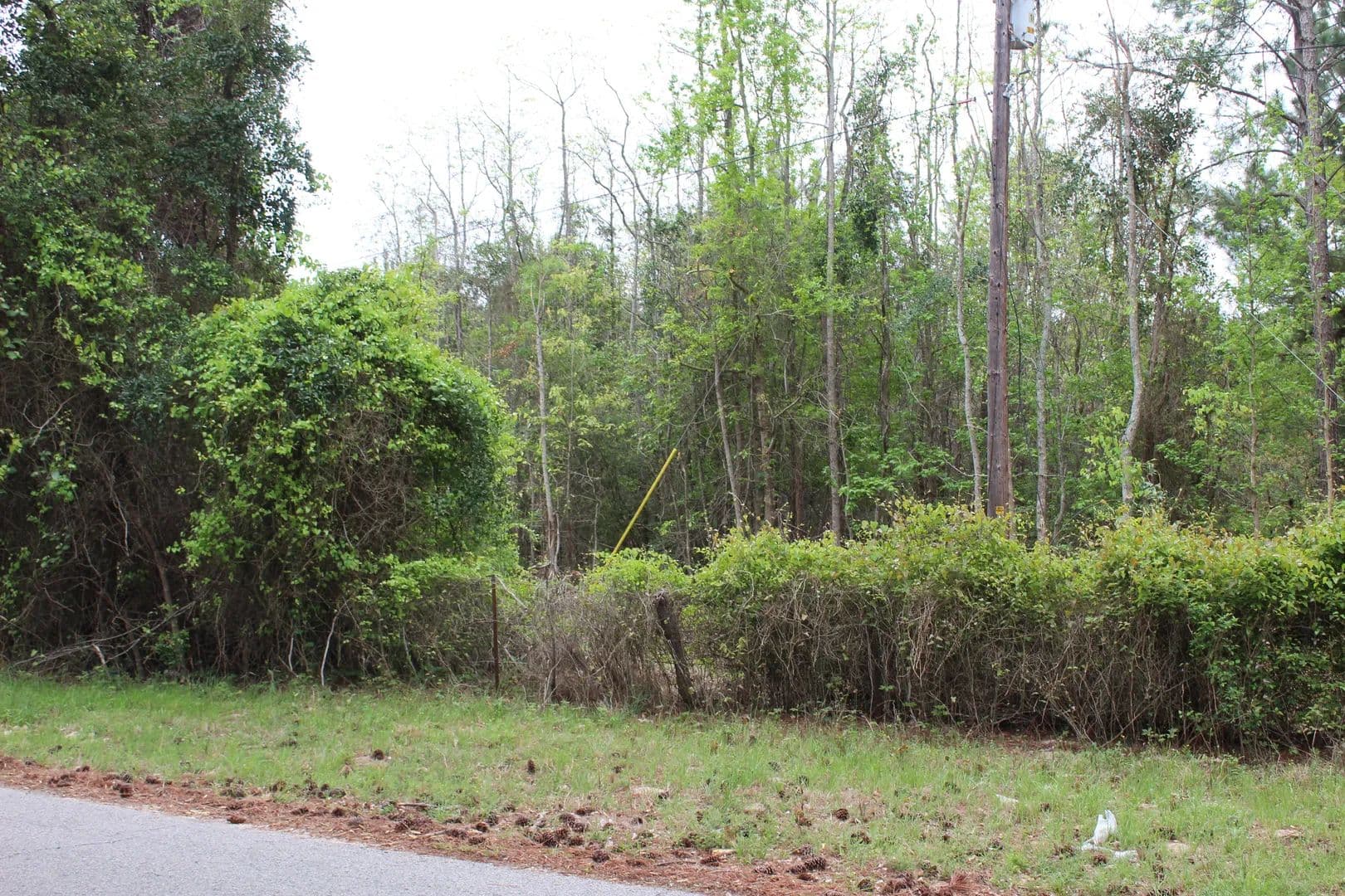 Land -Single Family Acreage in Athens - Athens, Texas, 75751