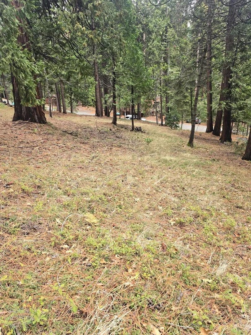 Property from 594 Dean Way - KW - Arnold, California, 95223