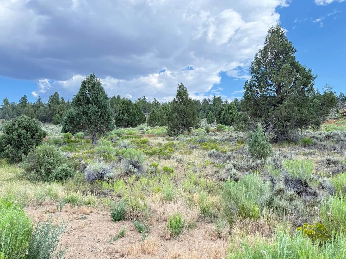 Lots & Land-Other in Duck Creek Village - Duck Creek Village, Utah, 84762