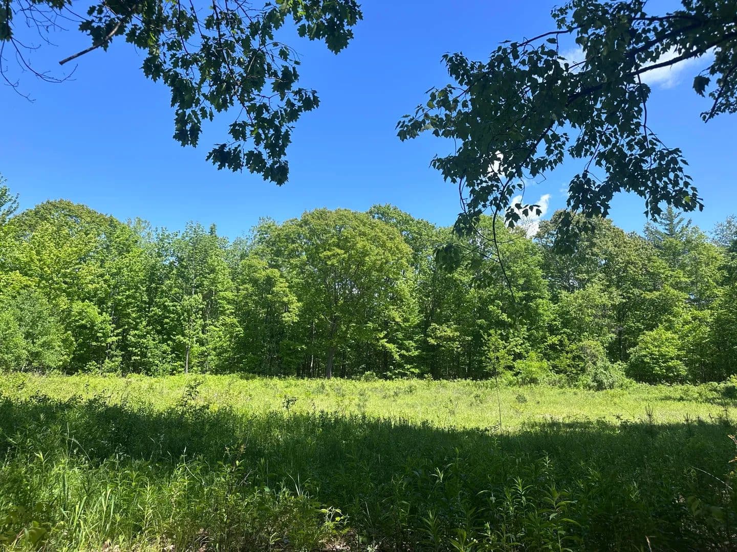 188.9 Acres of Land for Sale in Peru, NY - Peru, New York, 12972