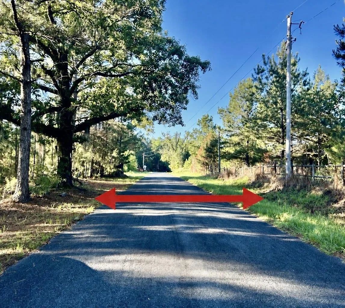 Vacant Land (10+ Acres) in Islandton - Islandton, South Carolina, 29929