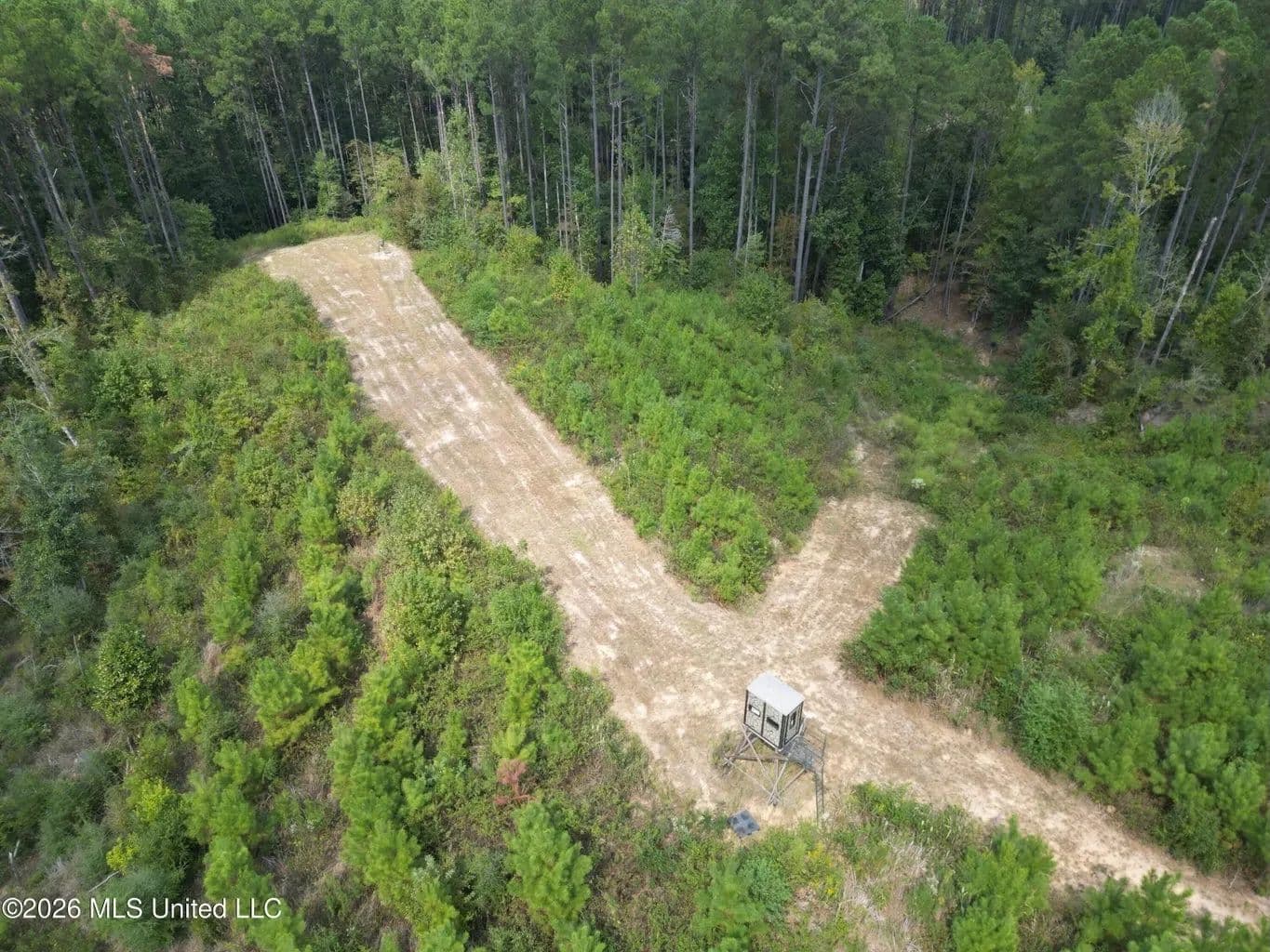 43± Acre Hunting Property in Amite County, MS - Gloster, Mississippi, 39638
