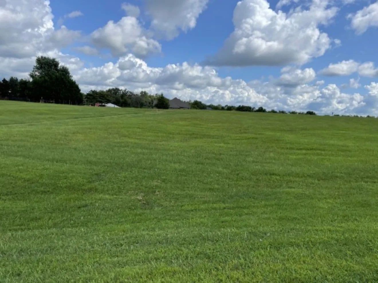 Vacant Land in Hillsboro - Hillsboro, Tennessee, 37342