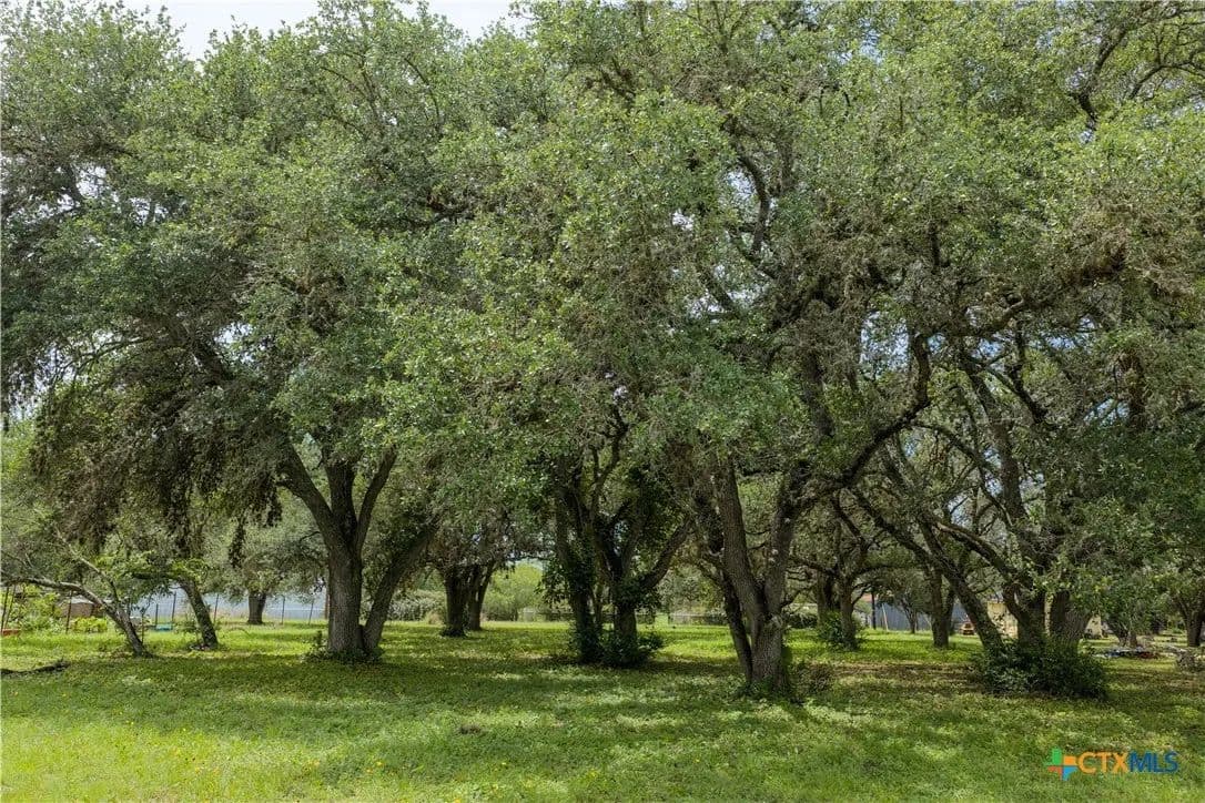 Vacant Land in Victoria - Victoria, Texas, 77905