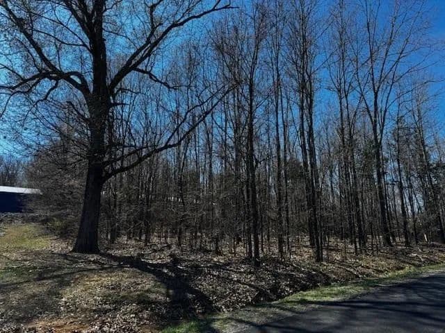 Vacant Land (0-10 Acres) in Cadiz - Cadiz, Kentucky, 42211