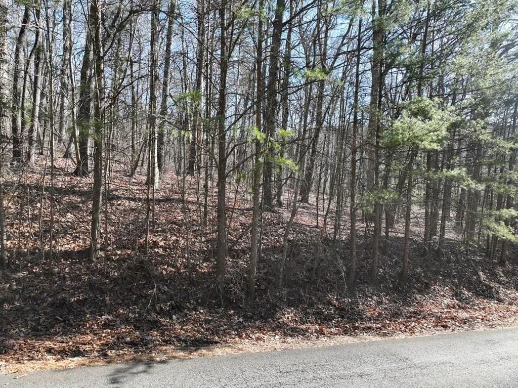 Property from 57 St Andrews Way - KW - Ellijay, Georgia, 30536