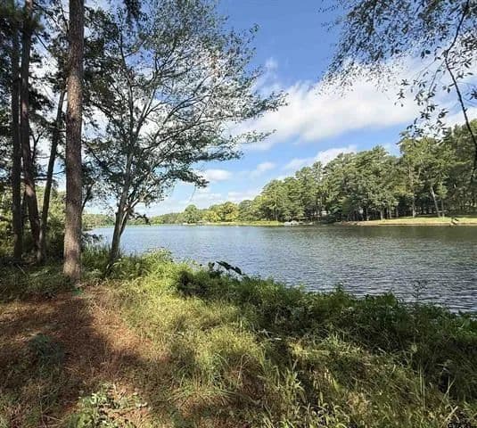 Vacant Land in Tyler - Tyler, Texas, 75704