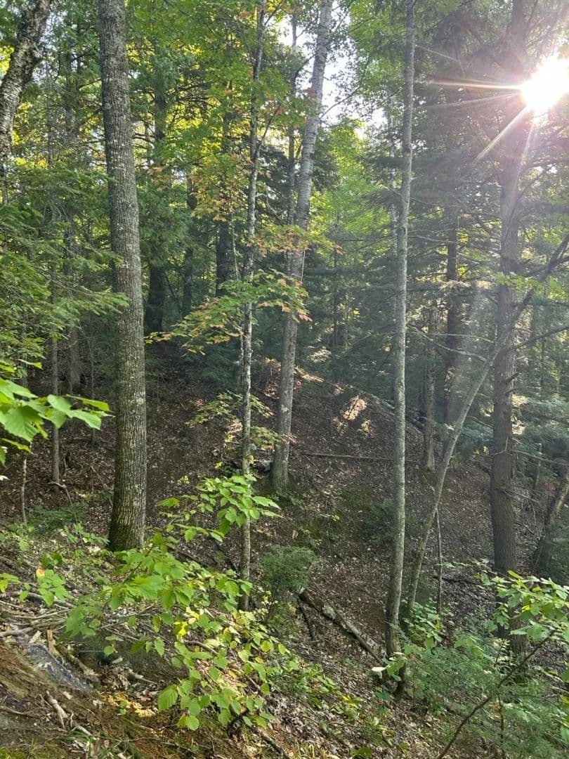 Victoria Road - Ewen, Michigan, 49925