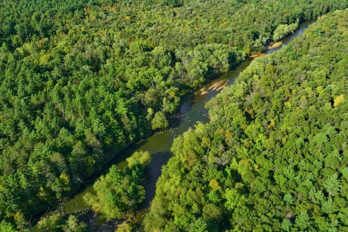 200± acres of Western Wisconsin recreational country Eau Claire Cty - Augusta, Wisconsin, 54729