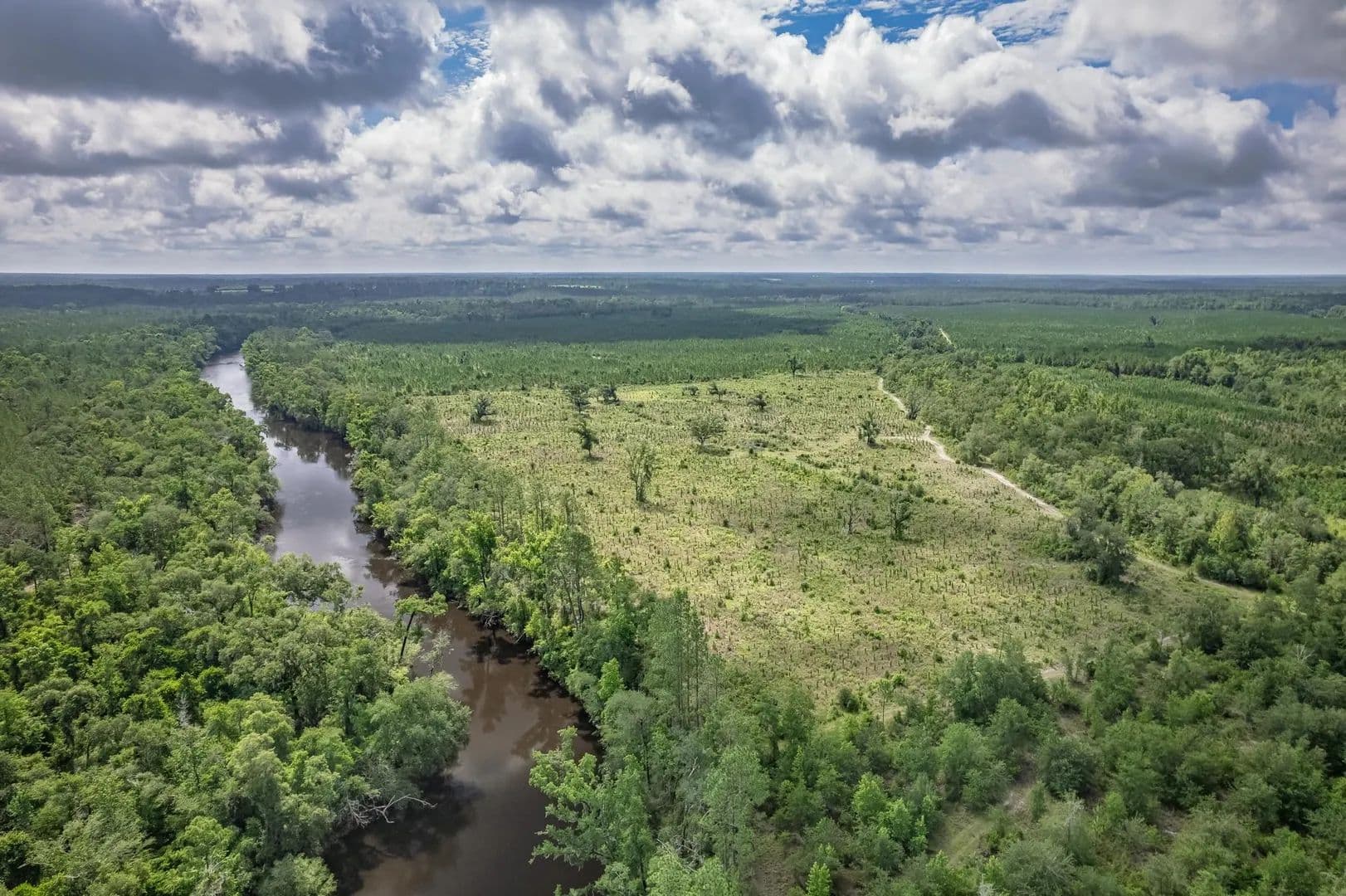 100 Acres of Land for Sale in Pinetta, FL - Pinetta, Florida, 32350