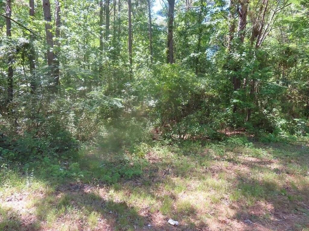 2.4 Acres of Land for Sale in Summerton, South Carolina - Summerton, South Carolina, 29148