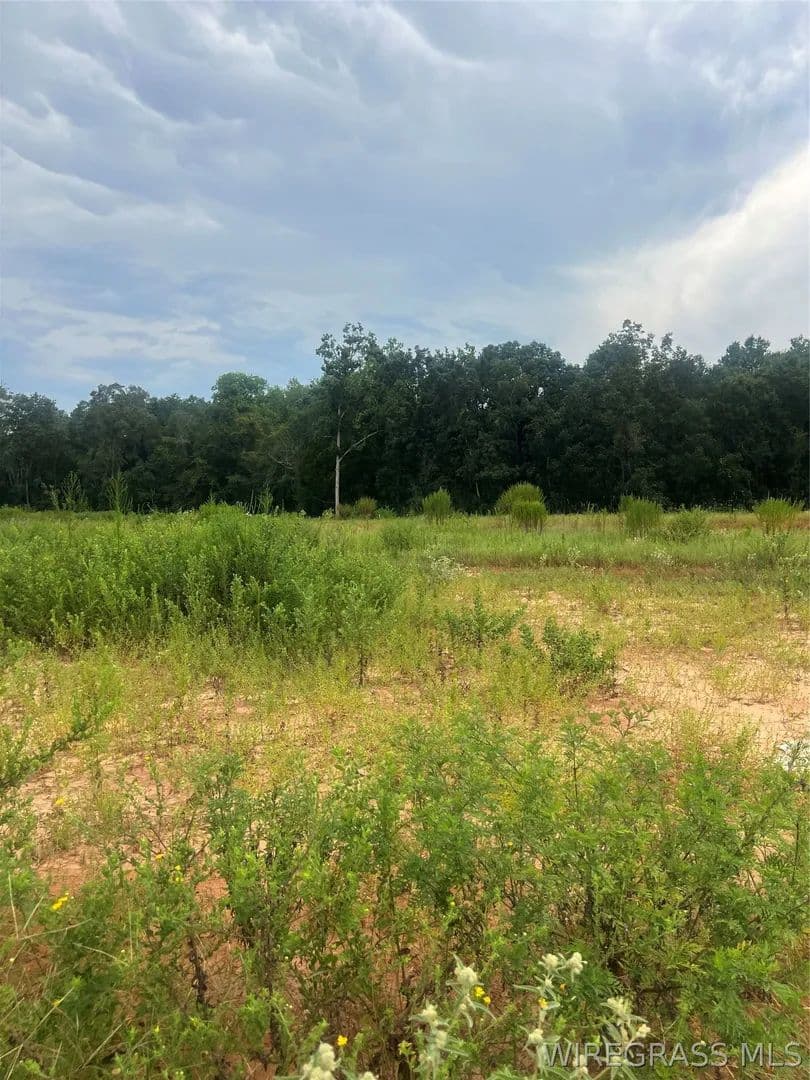 Vacant Land in Enterprise - Enterprise, Alabama, 36330