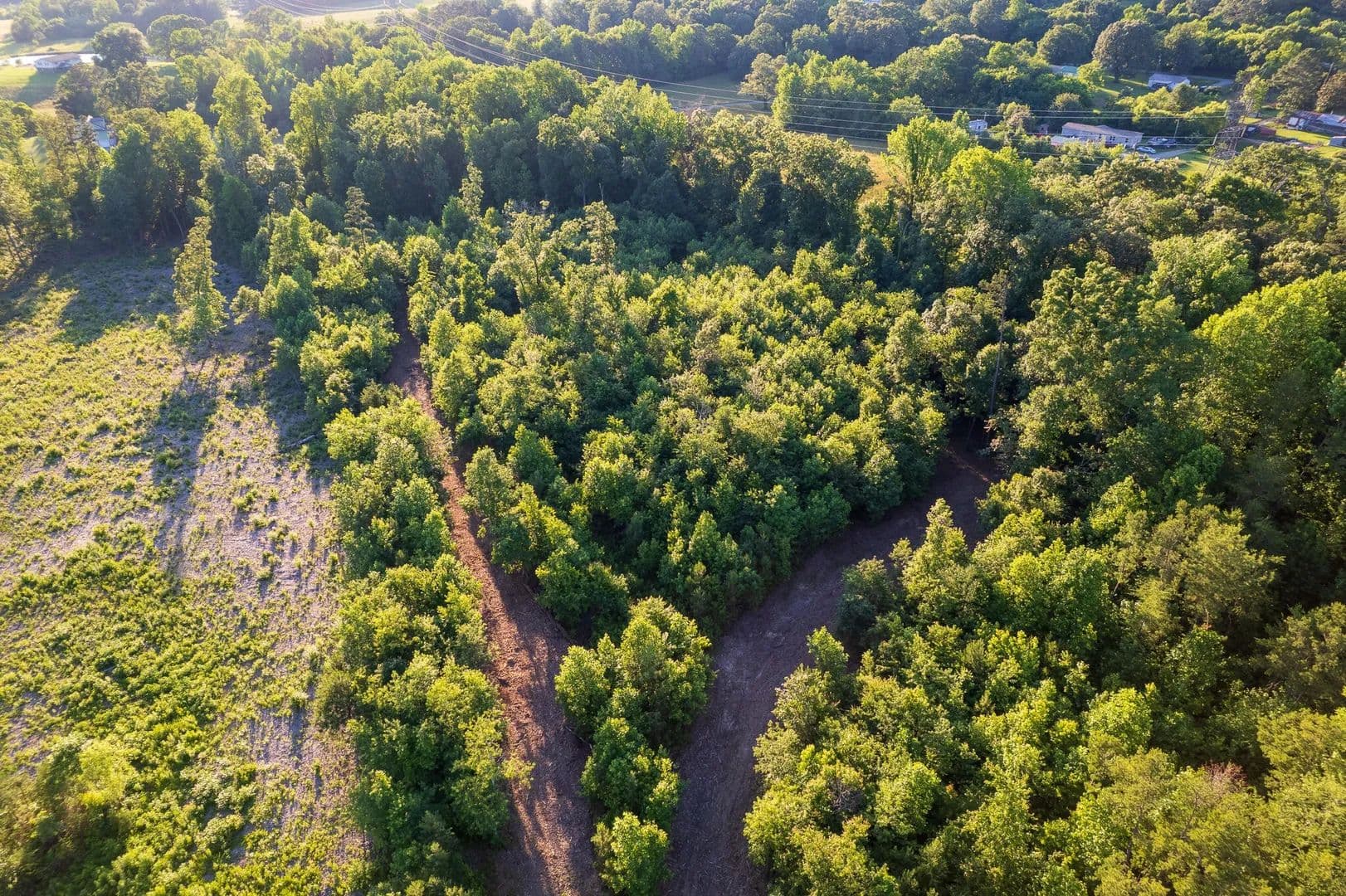 5 Acres of Land for Sale in Trenton, Georgia - Trenton, Georgia, 30752