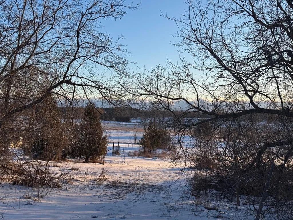 Vacant Land (0-10 Acres) in Sturgeon Bay - Sturgeon Bay, Wisconsin, 54235