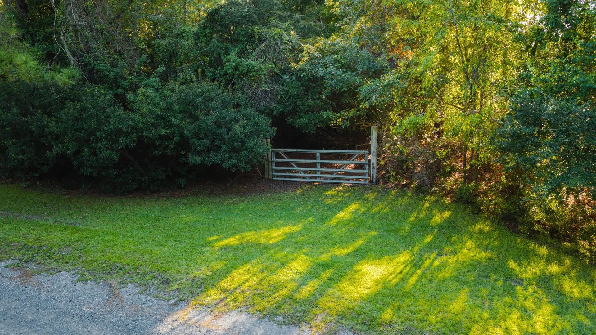 Lots & Land-Other in Ravenel - Ravenel, South Carolina, 29470