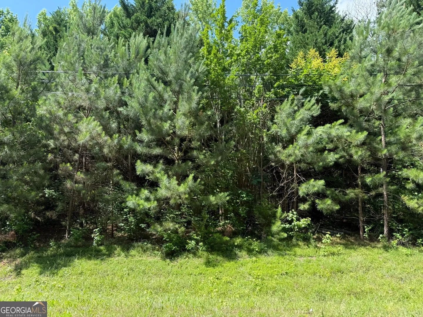 2 Acres of Land for Sale in Warm Springs, Georgia - Warm Springs, Georgia, 31830