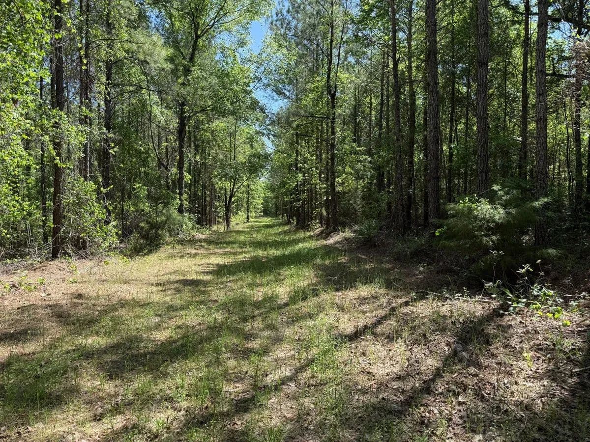 Jordan Lane - Blakely, Georgia, 39823