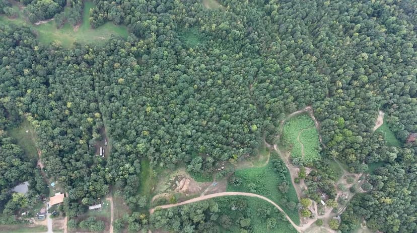 34.1 Acres in Marshall County, MS