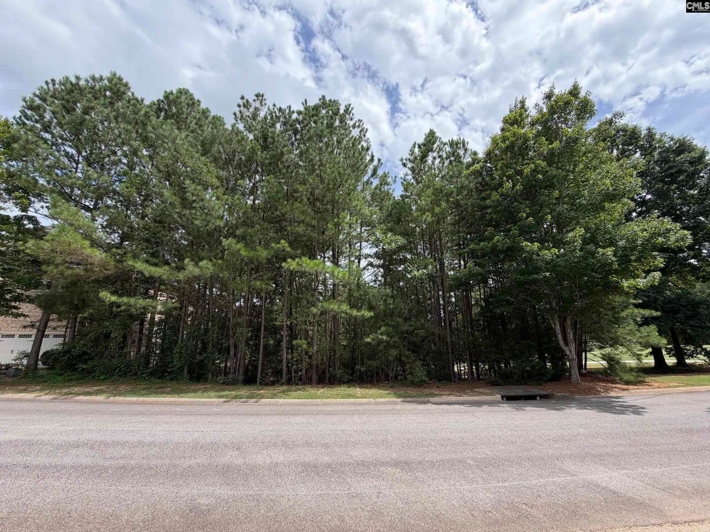 Vacant Land in Blythewood - Blythewood, South Carolina, 29016