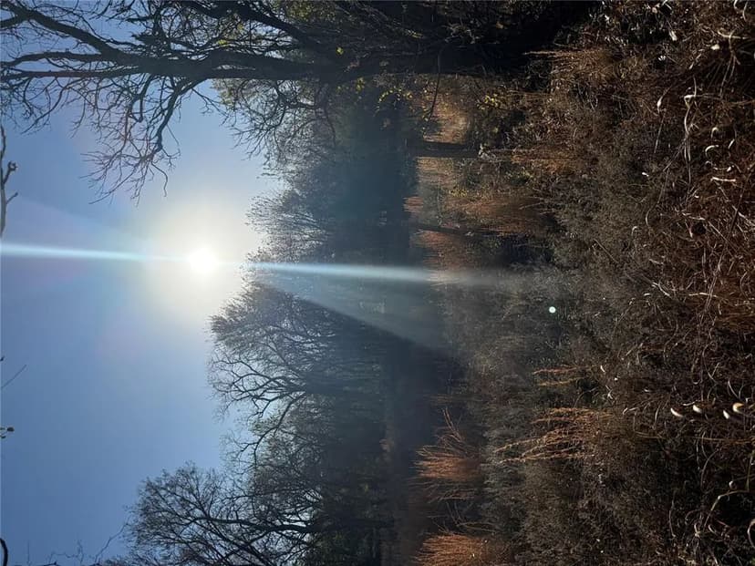 Property from Marshall Road - KW