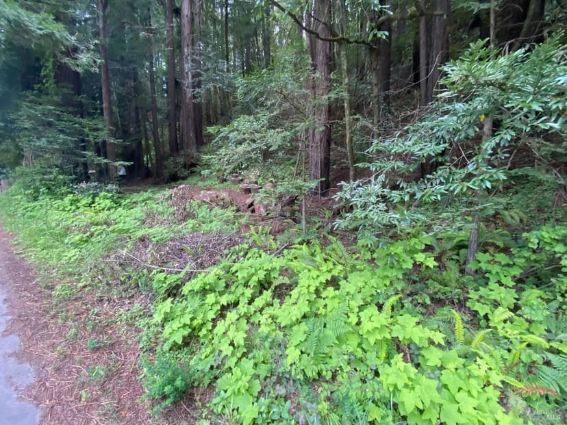 Vacant Land in Cazadero