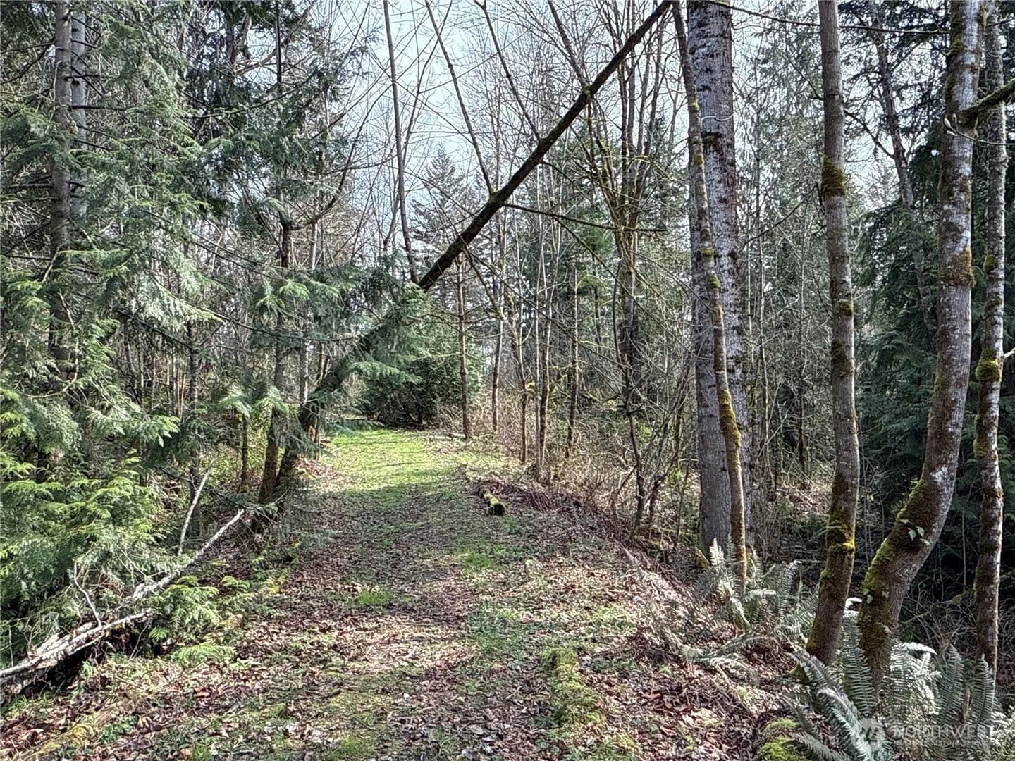4.93 Acres of Land for Sale in Maple Valley, WA - Maple Valley, Washington, 98038