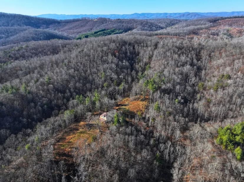 The Old Homeplace: 122+/- Acres of Creekside, Secluded Mountain Land in Ferrum, VA