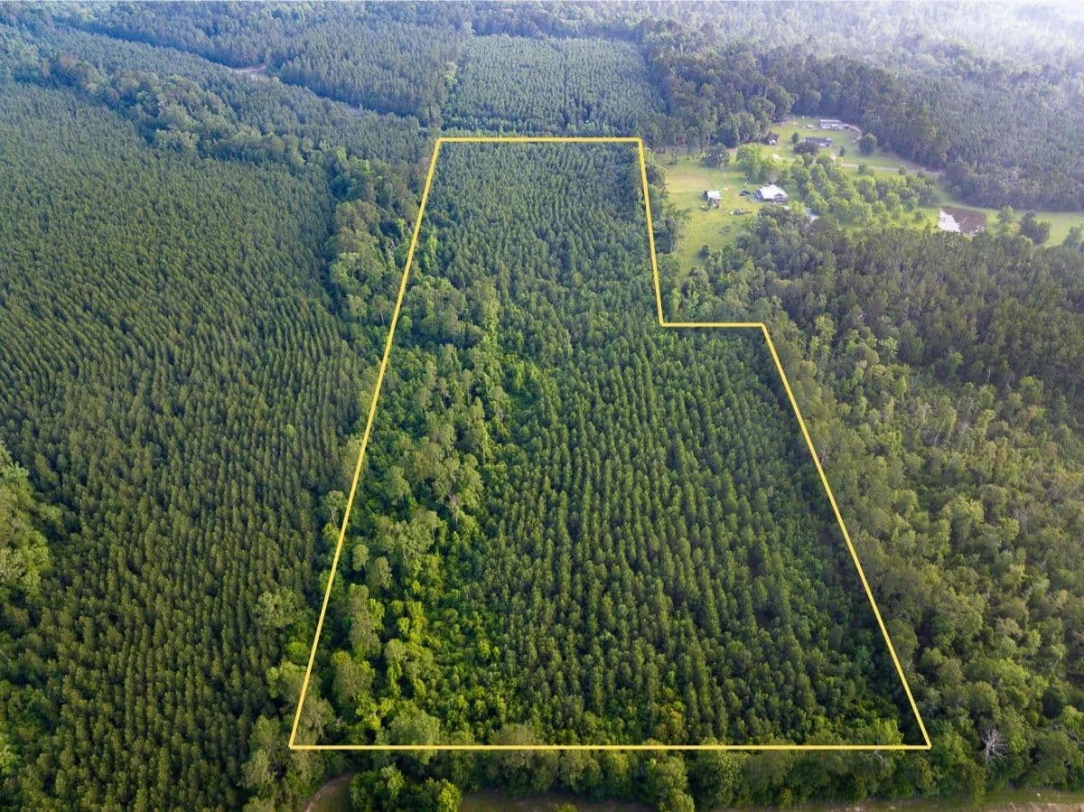 25 Acres of Land for Sale in Pitkin, Louisiana - Pitkin, Louisiana, 70656