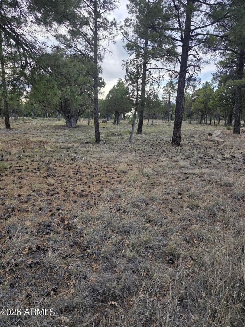 Property from 2584 ARAPAHO Drive #600 - KW - Happy Jack, Arizona, 86024
