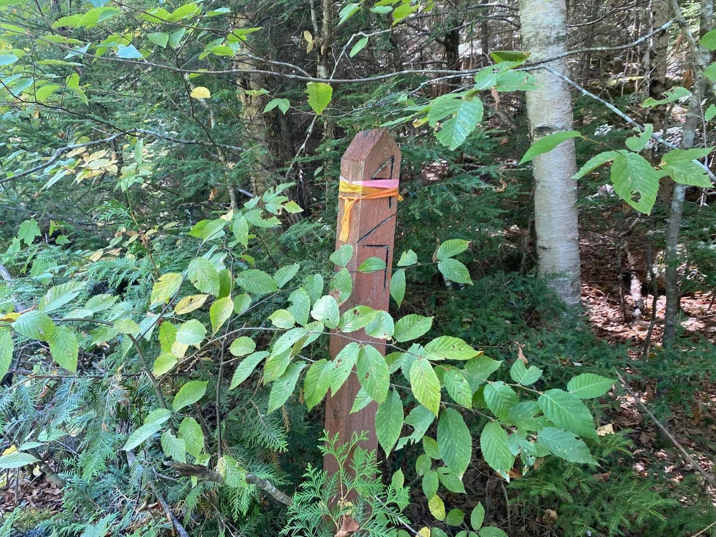 Lots & Land-Other in Lakeville - Lakeville, Maine, 04487